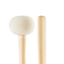 PSMB5_detail2_hi-res.jpg