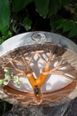 image?path=MUTI%2FSD15LBCHA_5.jpg