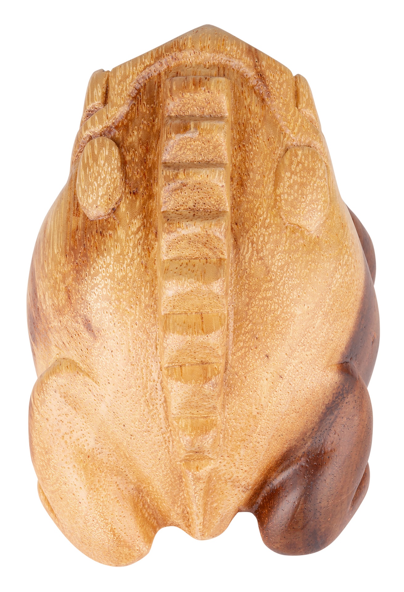 image?path=MUTI%2FNINO514NT_3.jpg