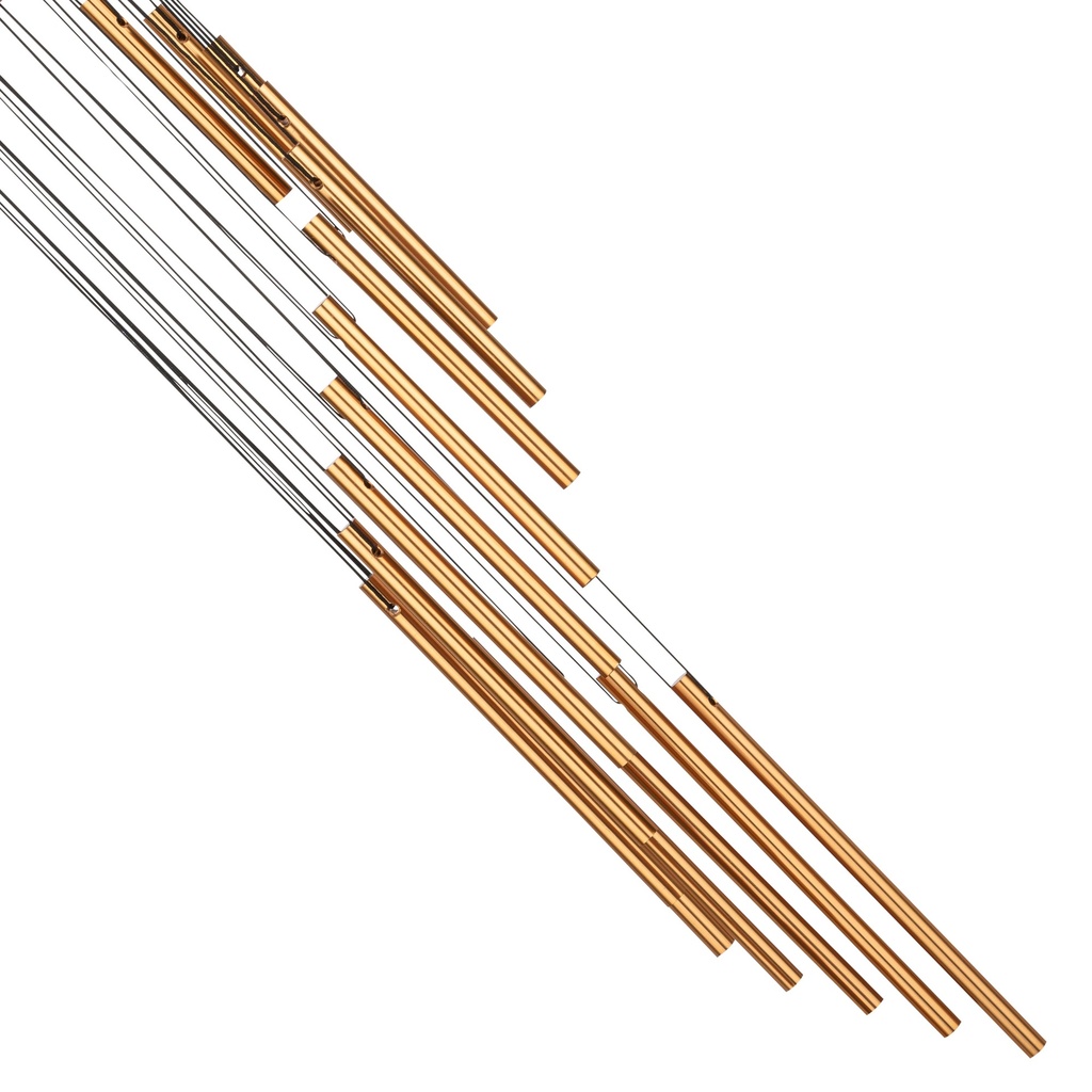 image?path=MUTI%2FSC29B_5.jpg