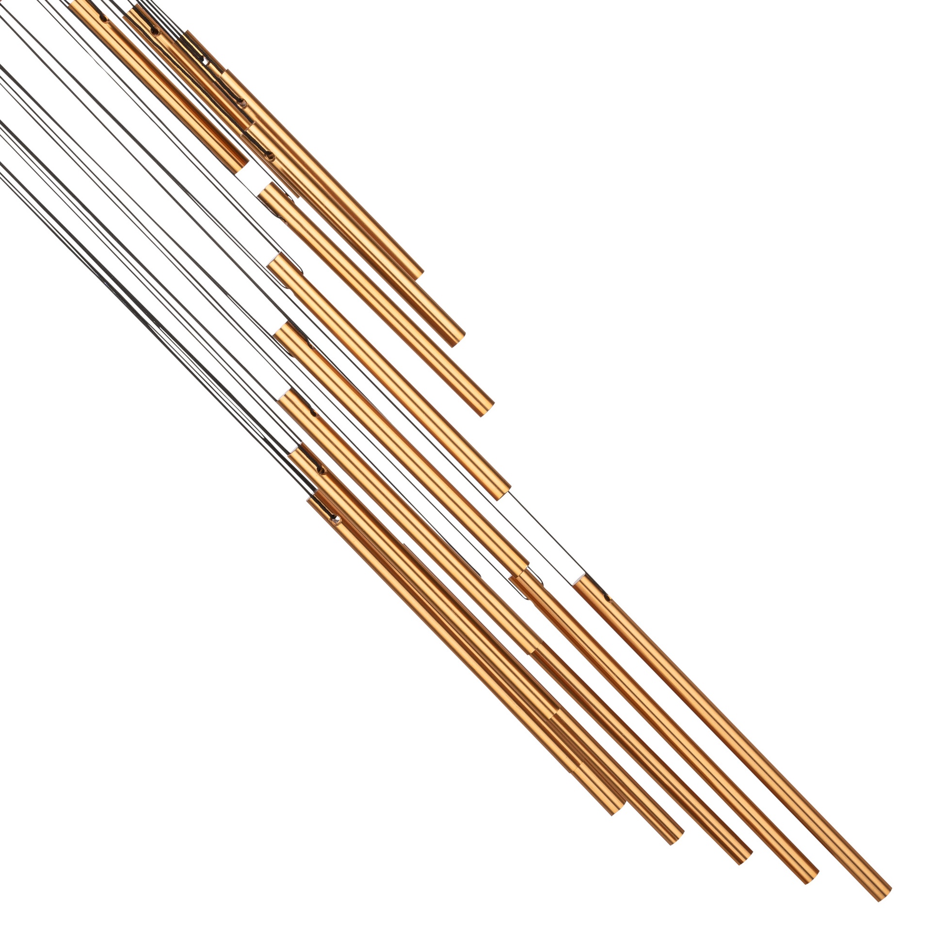 image?path=MUTI%2FSC29B_5.jpg