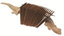 54770.jpg