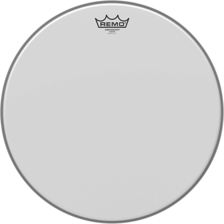 Peau Ambassador sablée 16" pour Tom sur pieds