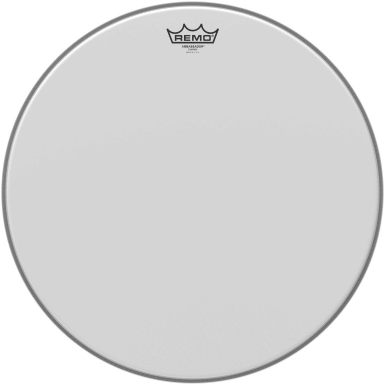 Peau Ambassador sablée 17" pour Tom sur pieds