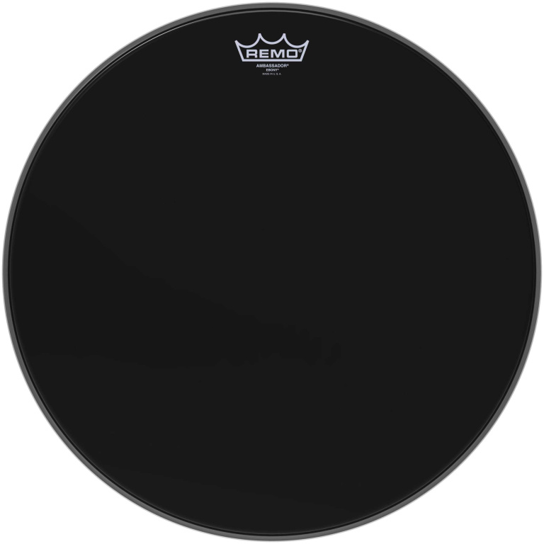Peau Ebony Ambassador 18" pour Tom sur pieds