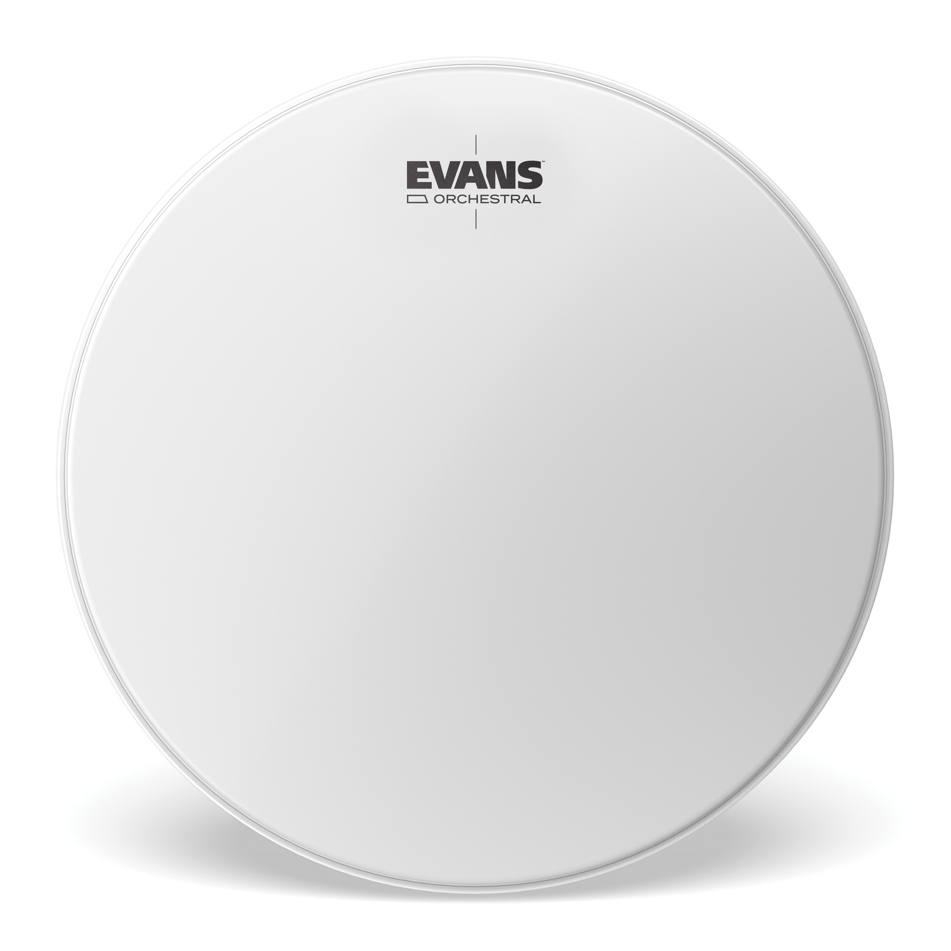 EVANS Orchestral Timpani Drum Head, 24.5 "