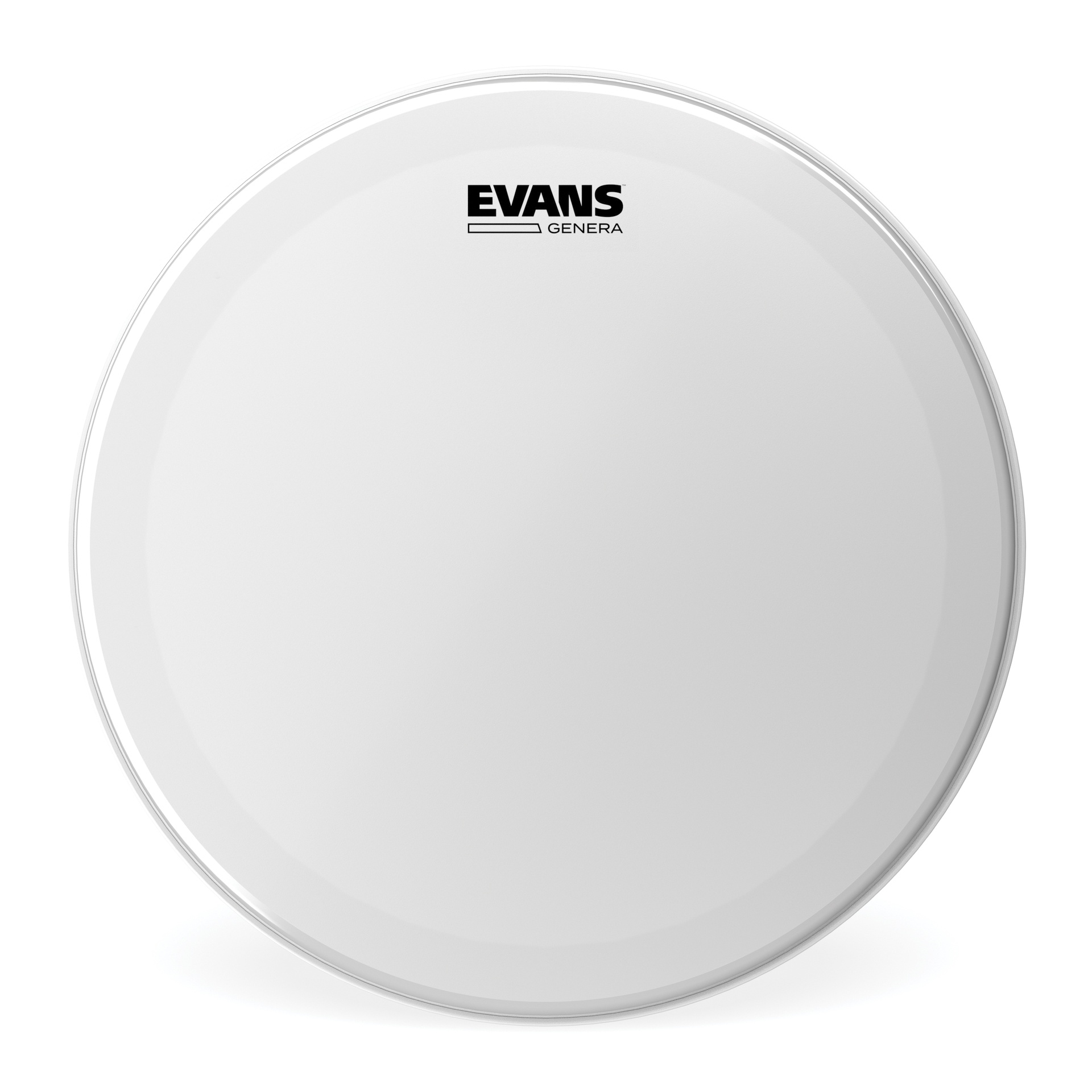 EVANS Genera Drum Head, 14 "