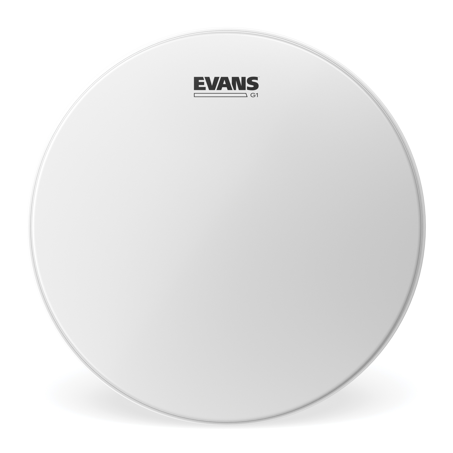 EVANS G1 Coated Drum Head, 8 "