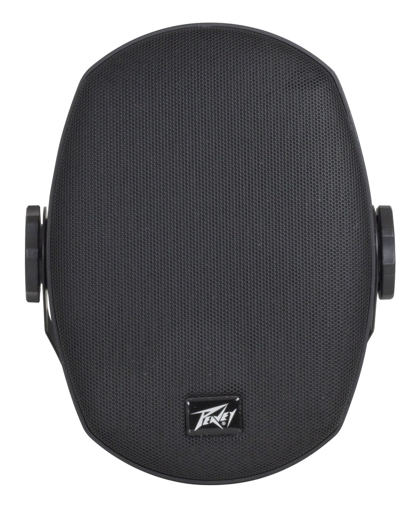 ENCEINTE PEAVEY 50W WOOFER 5" NOIR