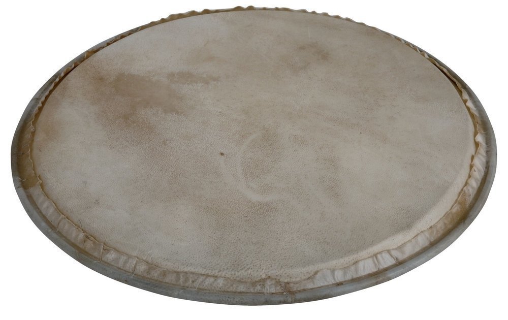 Peau de Percussion Plenera
