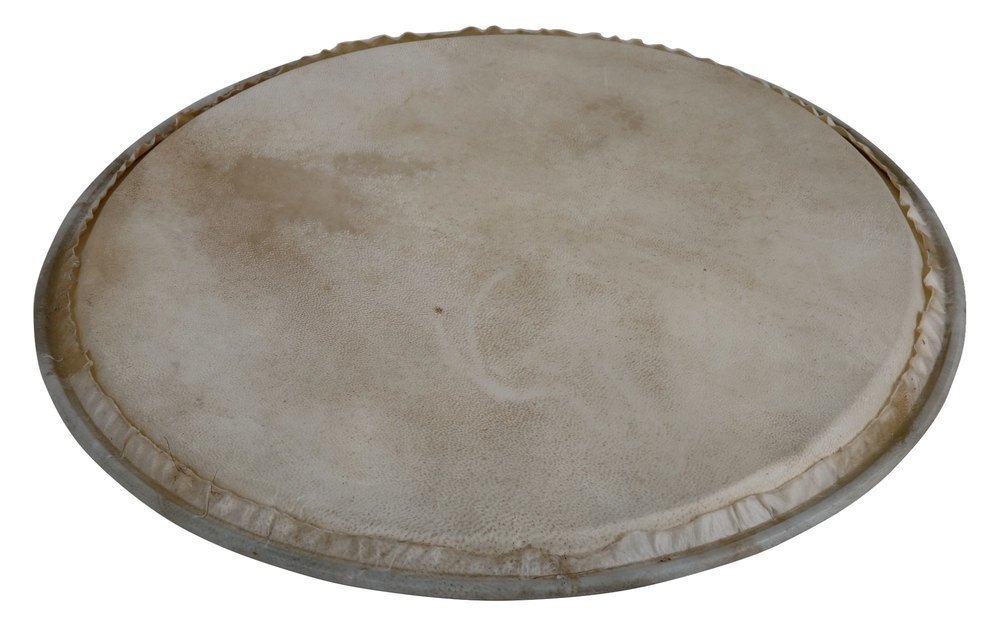 Peau de Percussion Plenera