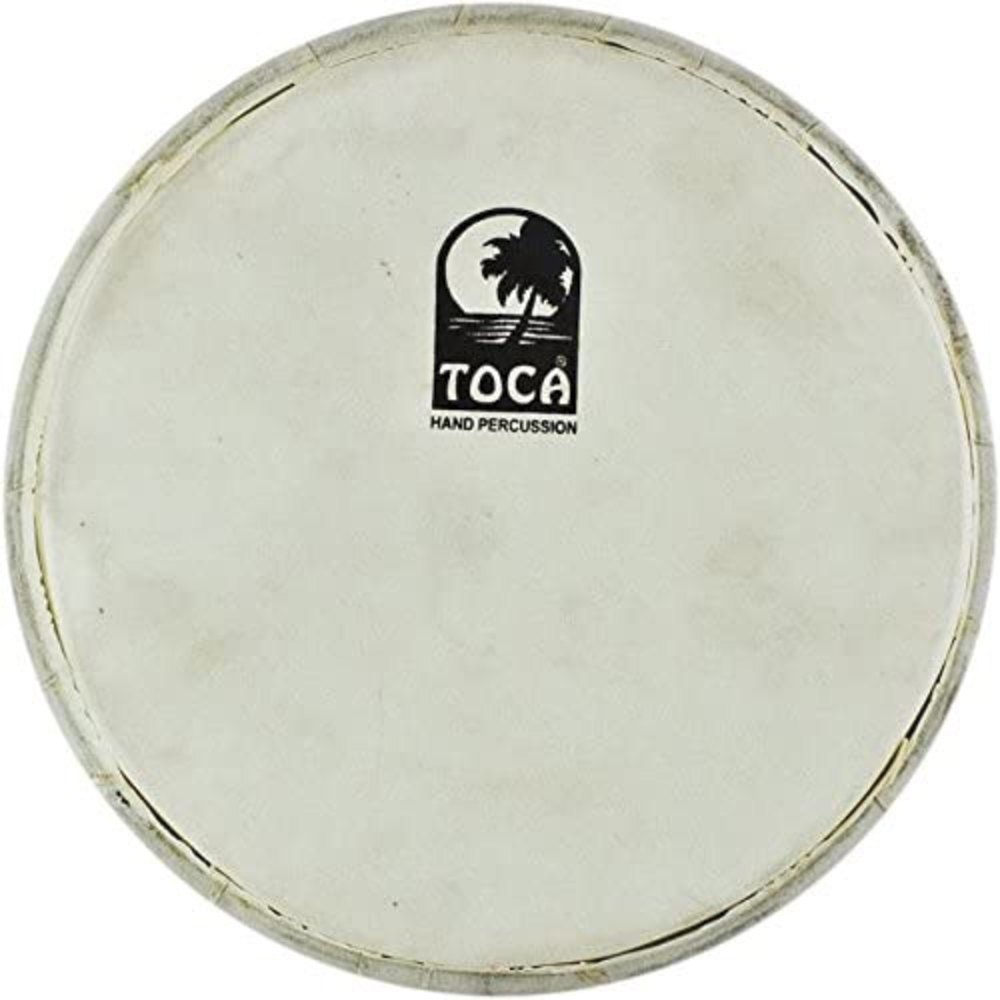 Peau de Percussion Doumbek
