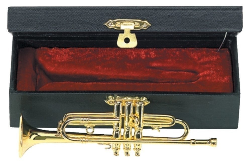Instrument miniature