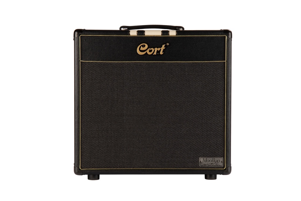 ENCEINTE CORT 30W/1X12' MOOLLON NOIR