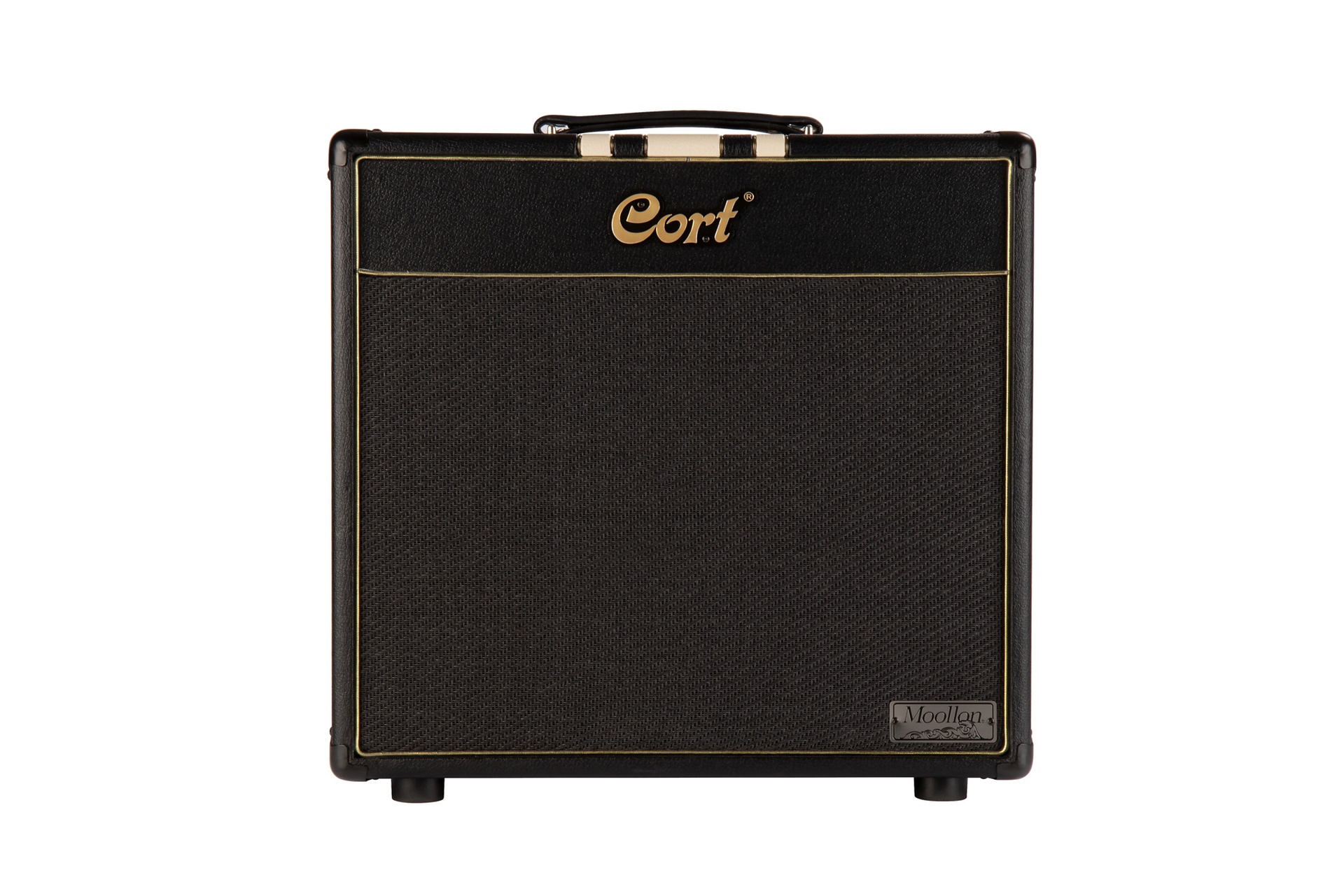 ENCEINTE CORT 30W/1X12' MOOLLON NOIR