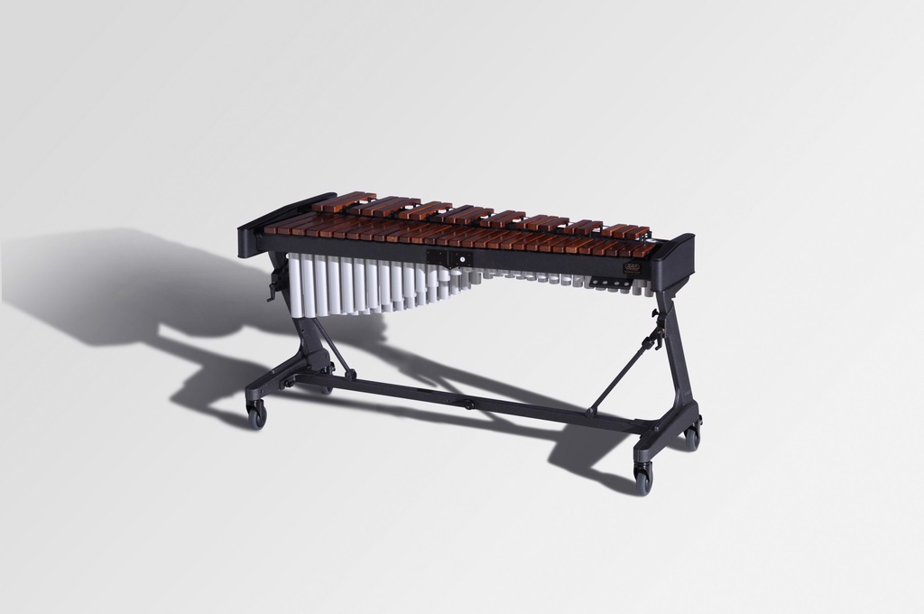 Xylophone - Concert
