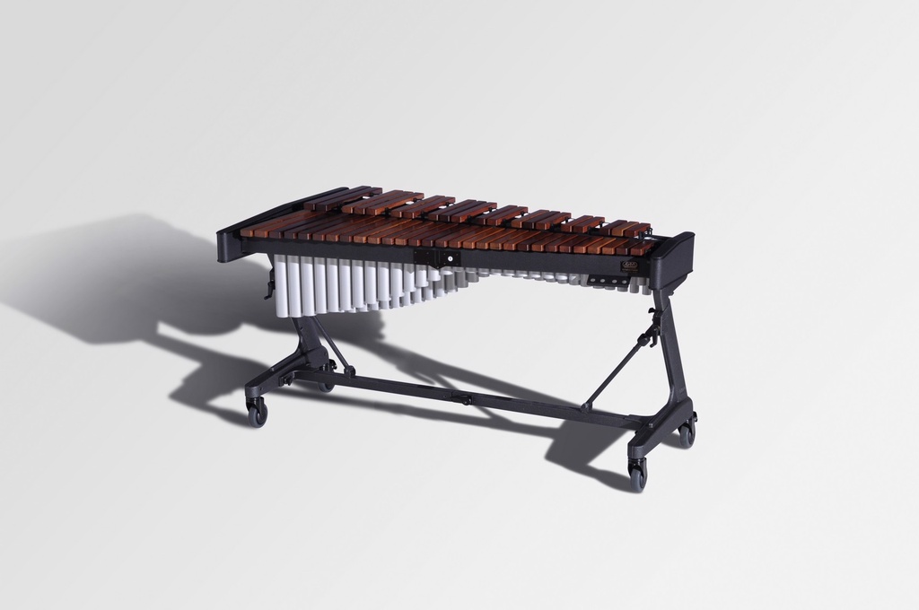 Xylophone - Concert