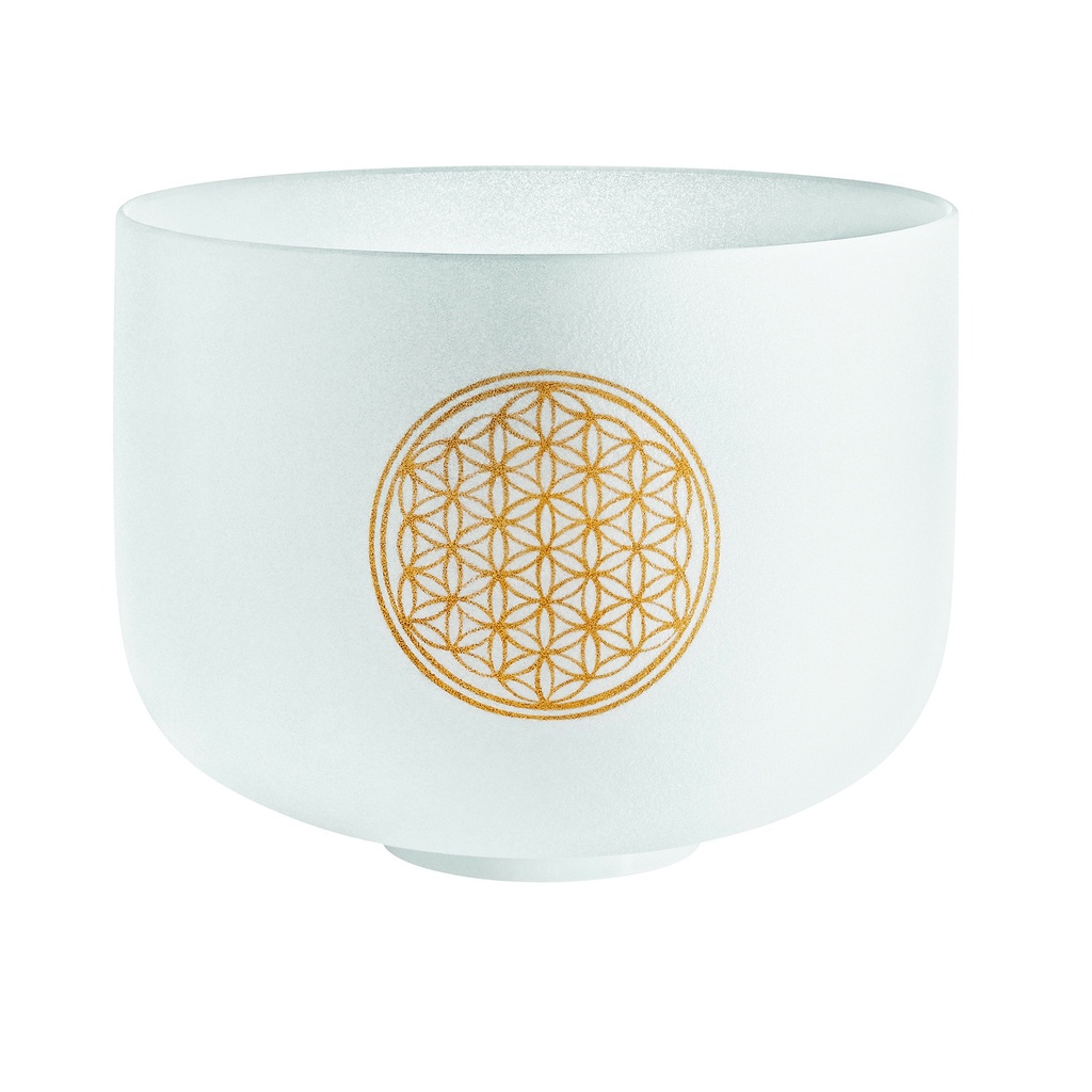 DESTOCKAGE SINGING BOWL SONIC ENERGY CRISTAL 10" 