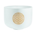 DESTOCKAGE SINGING BOWL SONIC ENERGY CRISTAL 10" 