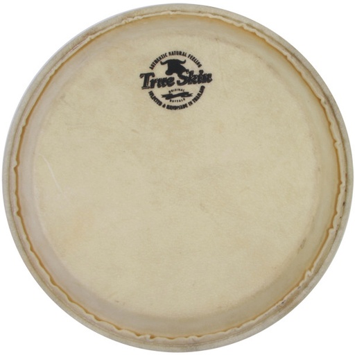 [TS-B-19] MEINL Percussion True Skin conga head - 12 1/2" for Meinl Woodcraft + Collection Series (old models)