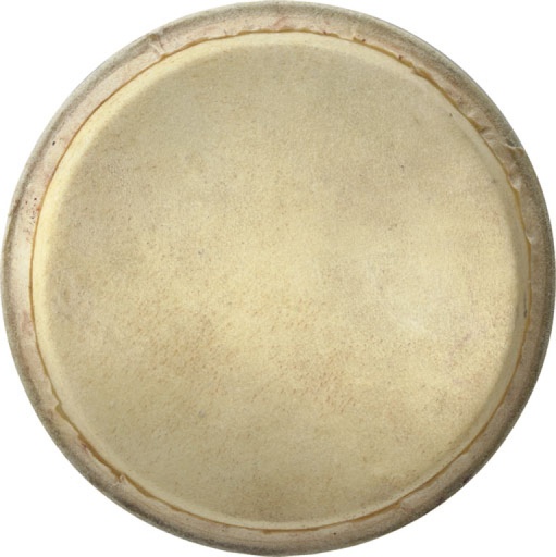 [BW-6.5 HEAD ST] Peau 6.5" pour Bongo