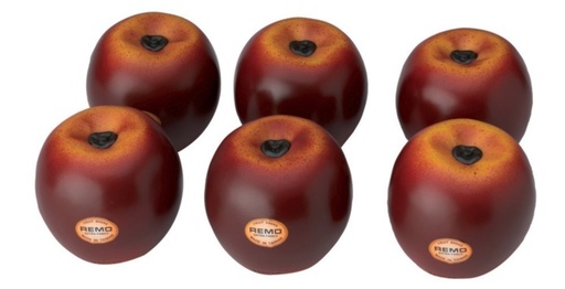 [834.302] shaker fruits