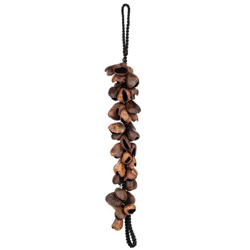 [WA5] WATERFALL MEINL COQUES DE GRAINES DE PAN
