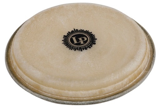 [LP881.092] Peau de bongo City EZ Curve Rim