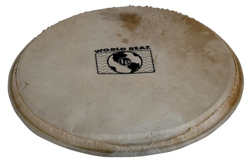 [LP881.992] Peau de Percussion Plenera