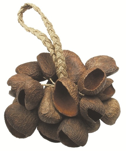 [TO804.444] Shaker Seed Shell
