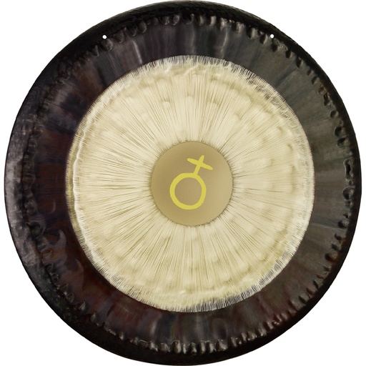 [G28-E-PL] GONG SONIC ENERGY PLATIONIC YEAR 28"