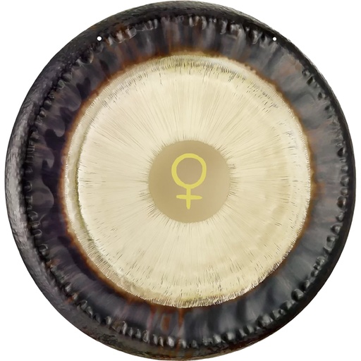 [G24-V] PLANET GONG MEINL SONIC ENERGY VENUS 24"