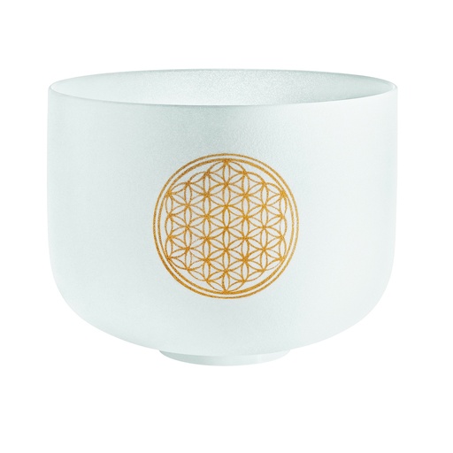 DESTOCKAGE SINGING BOWL SONIC ENERGY CRISTAL 10" 